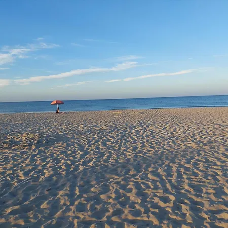 Meet Cervia